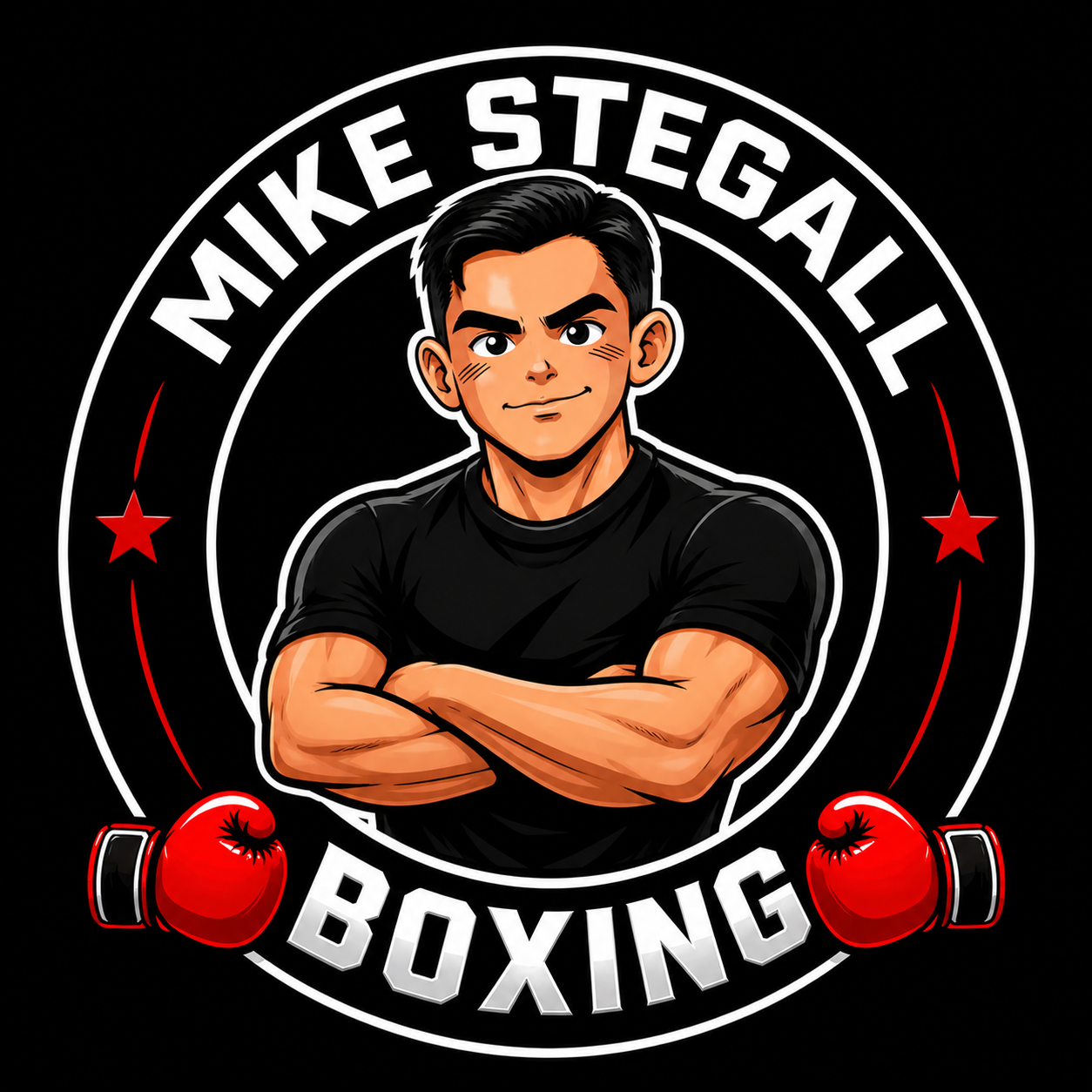 Private Boxing Training & Boxing in St. Louis | Mike Stegall Boxing ...